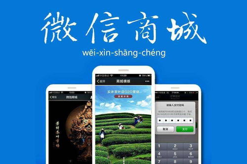 成都微信开发 企业如何进行微信二次开发与基础软件服务