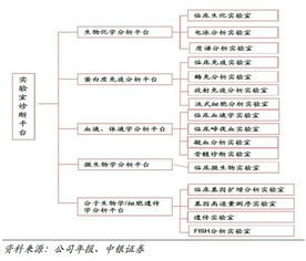 迪安诊断 基本概况、商业模式与产业生态分析