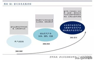 计算机行业专题 如何撬动中间件市场国际领先者的奶酪——基础软件服务的破局之道